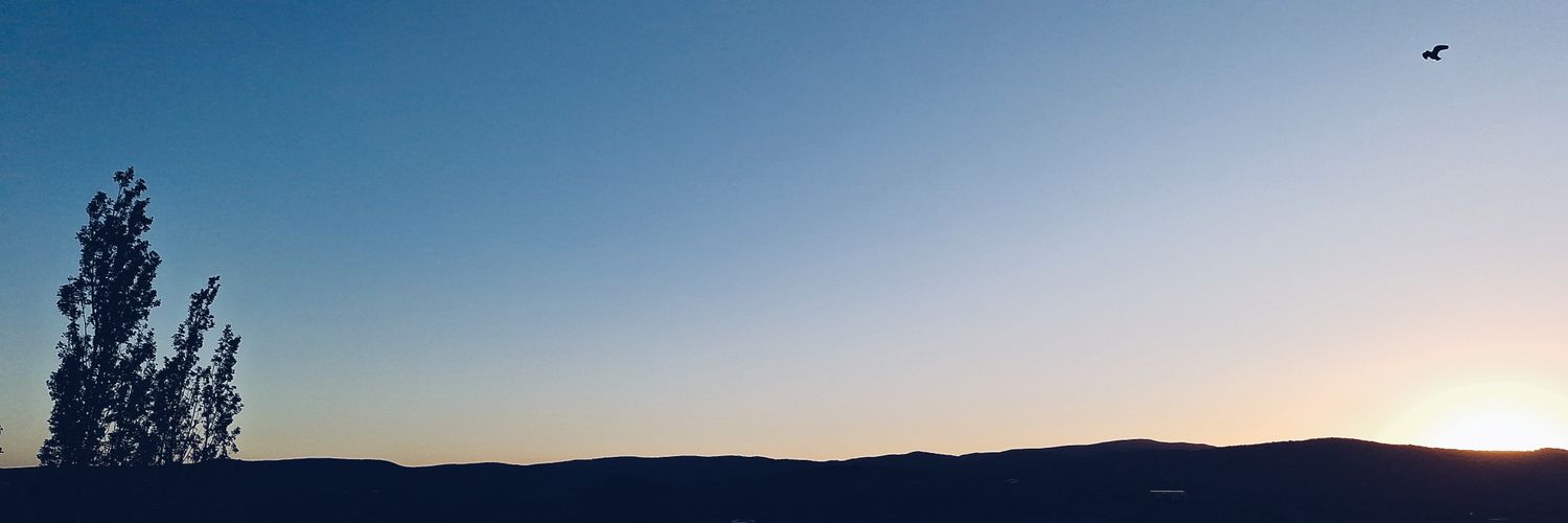 nmiranda's profile banner image