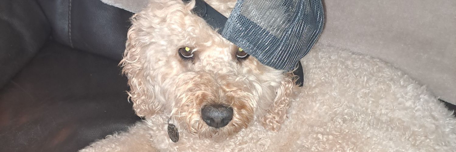 nelll00's profile banner image