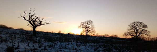 treadlightly08 Profile Banner