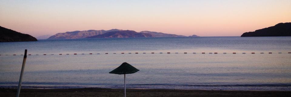 FernWaiata's profile banner image