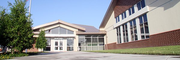 PineyElem Profile Banner