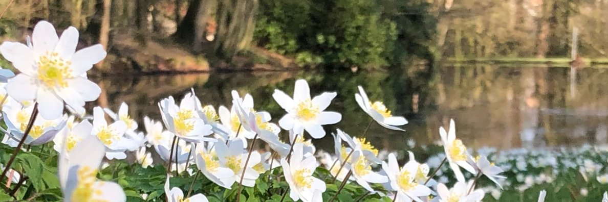 GroeneVacature's profile banner image
