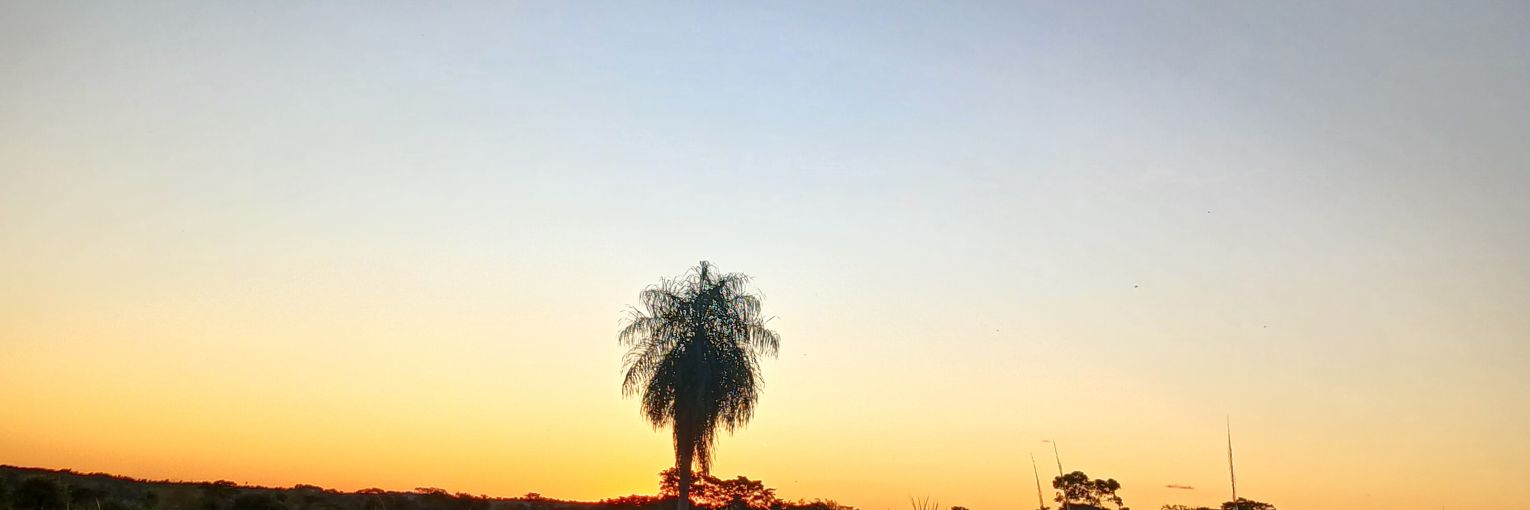oscarmfv's profile banner image