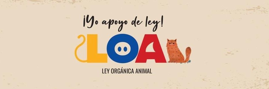 Malu Camacho Dávila banner