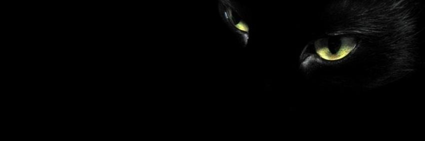 geeare22's profile banner image