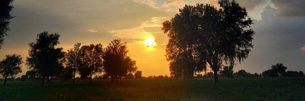 d_gulcinn's profile banner image