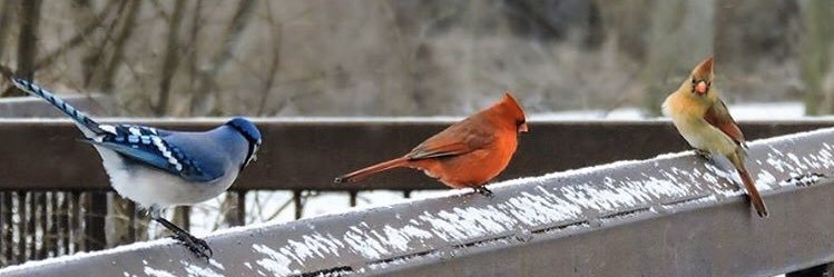 mnolan1226's profile banner image