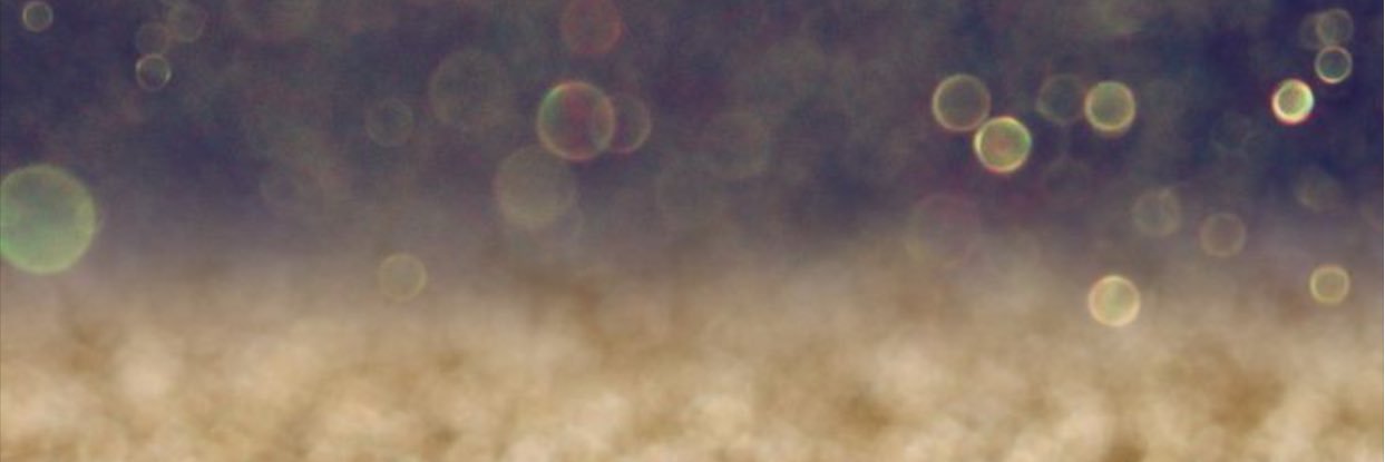 Sunshine_1771's profile banner image