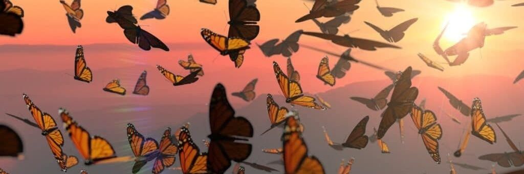 Elke4711's profile banner image