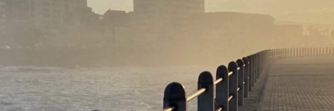 Candice Eva Wiliams  banner