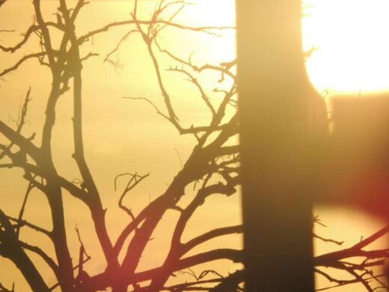 CatiMendes23's profile banner image