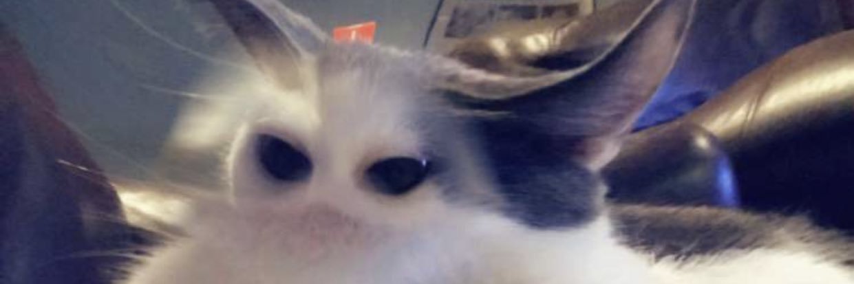 IHaveACupcakex's profile banner image