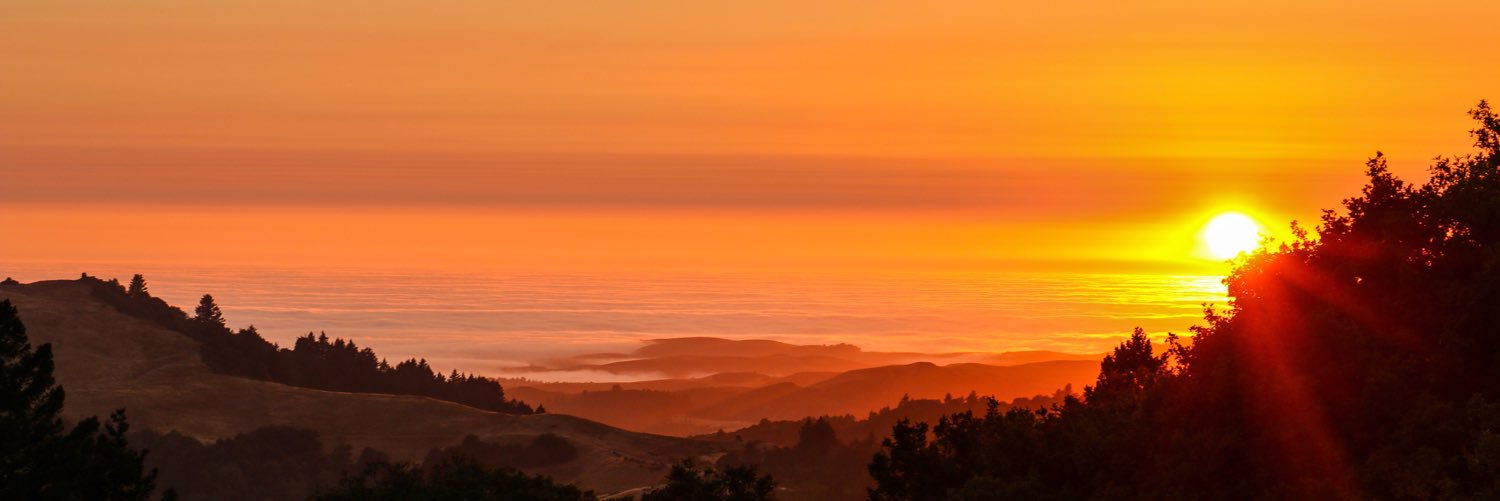 zac_hopp's profile banner image