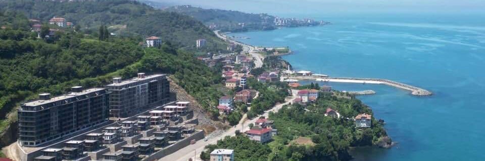 alioglu_selcuk's profile banner image