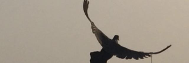 A7b_ku's profile banner image