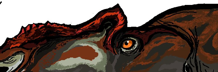 pedriho22's profile banner image