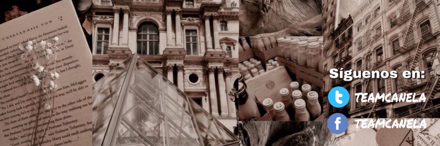 teamcanela's profile banner image