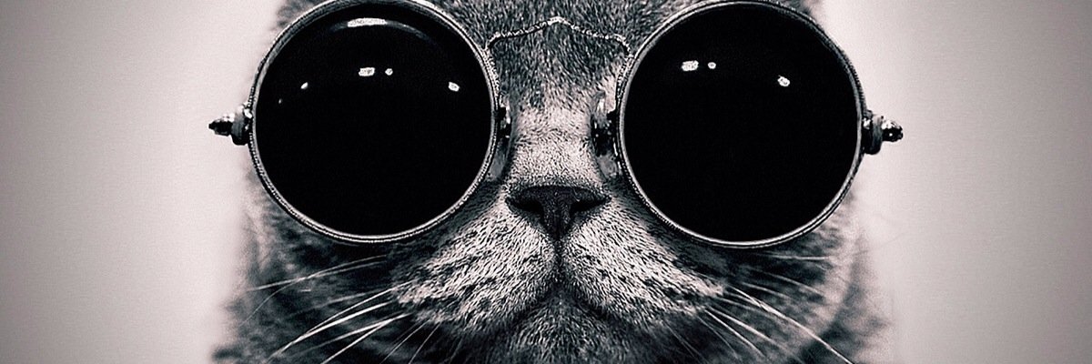 yagirlgent's profile banner image