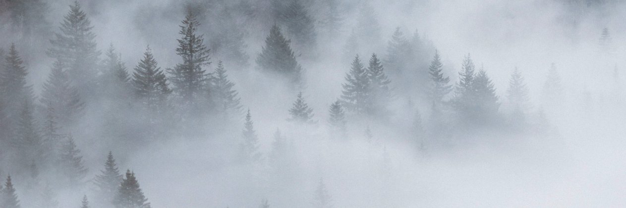 Juha Makkonen banner