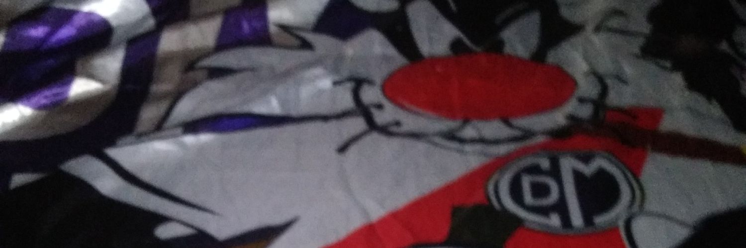 Christian Reategui banner