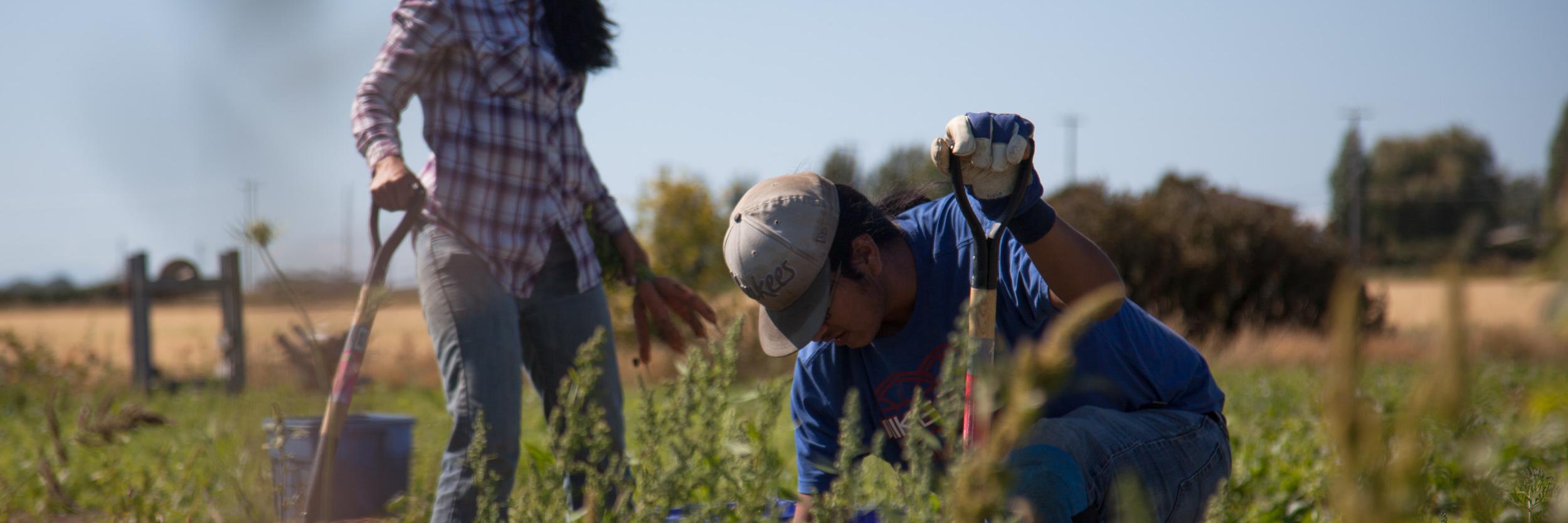 TFN Farm School banner