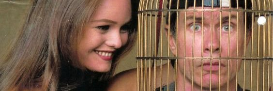 Audrey Morard banner