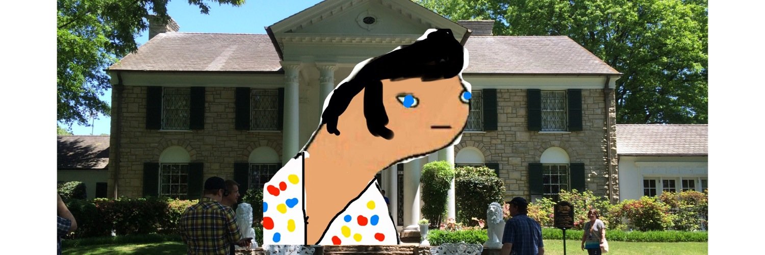 acculyelvis's profile banner image