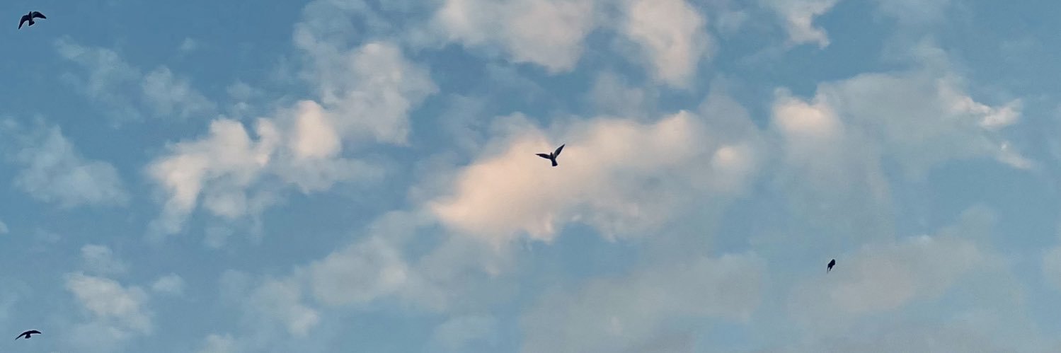 عبدالله بوعبيد banner