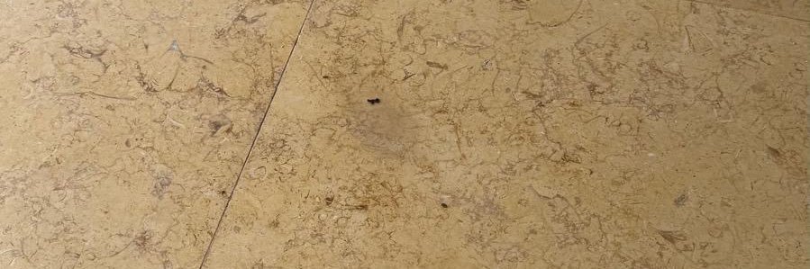 MarkStanny19's profile banner image
