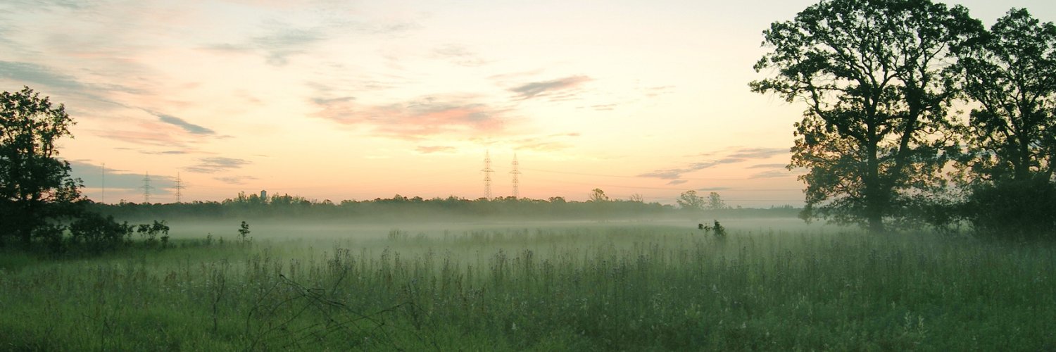 dombiz108's profile banner image