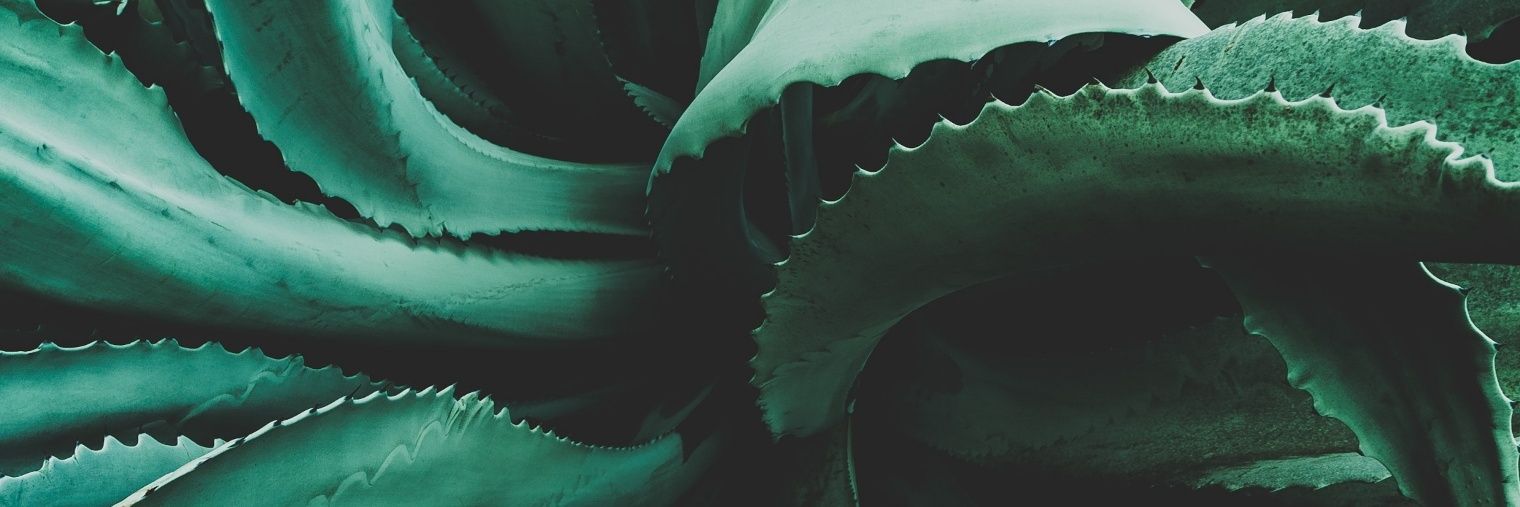 undergrndtechno's profile banner image
