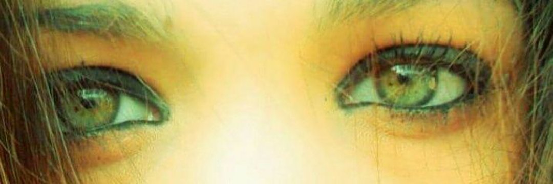 flor_rscba's profile banner image