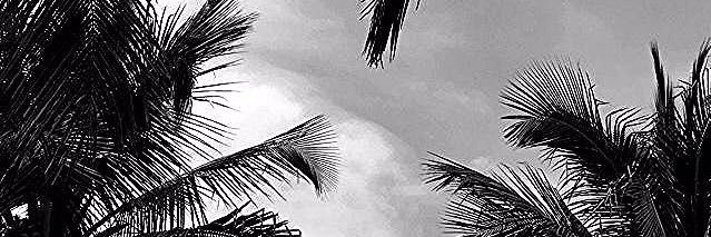 btrcelia's profile banner image