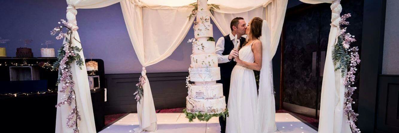 traceofcakes's profile banner image