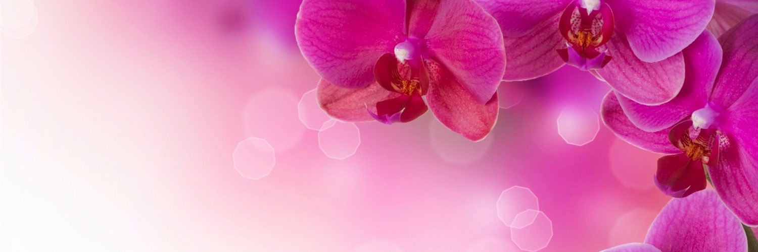 pushppatel's profile banner image