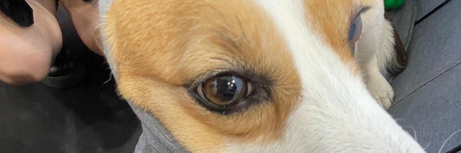 any_chili's profile banner image