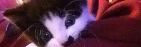 GeorgeR_G3's profile banner image