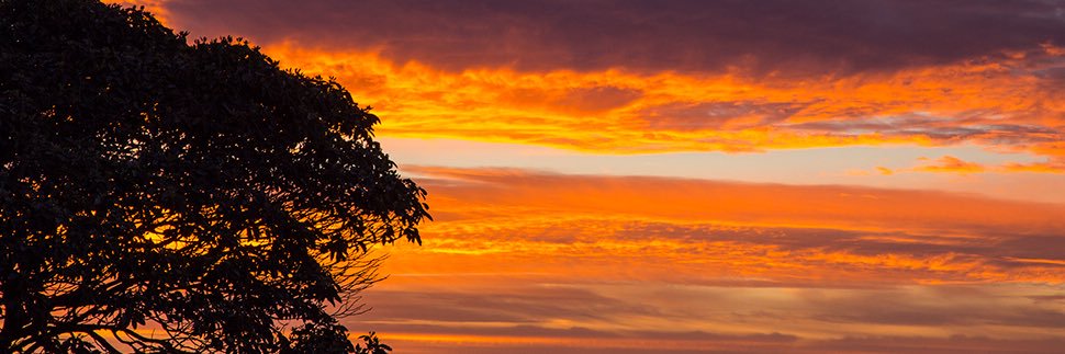 Michael Mangold banner