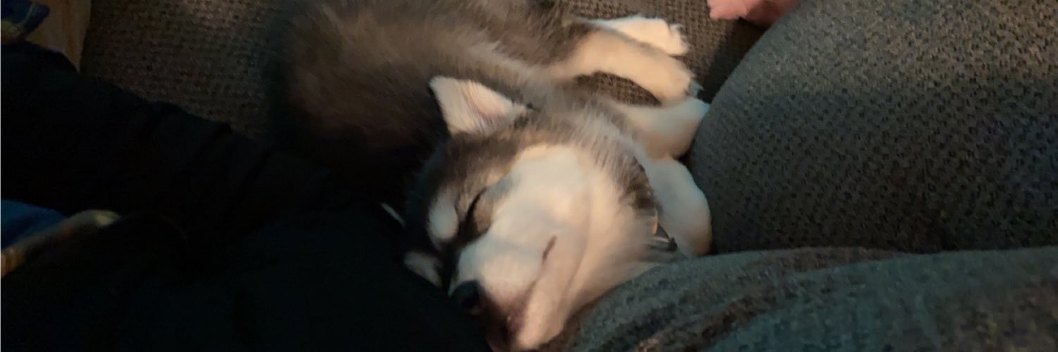 TylerPeczeniuk's profile banner image