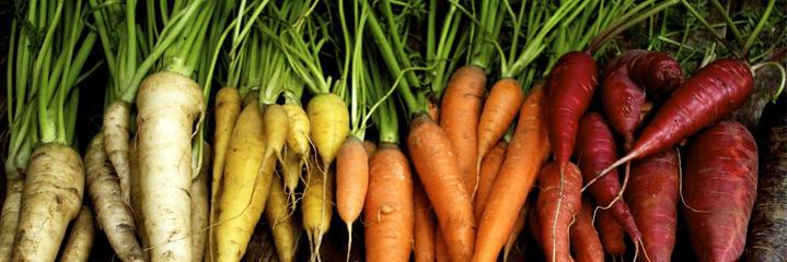 Troya Mediterranean Kitchen banner