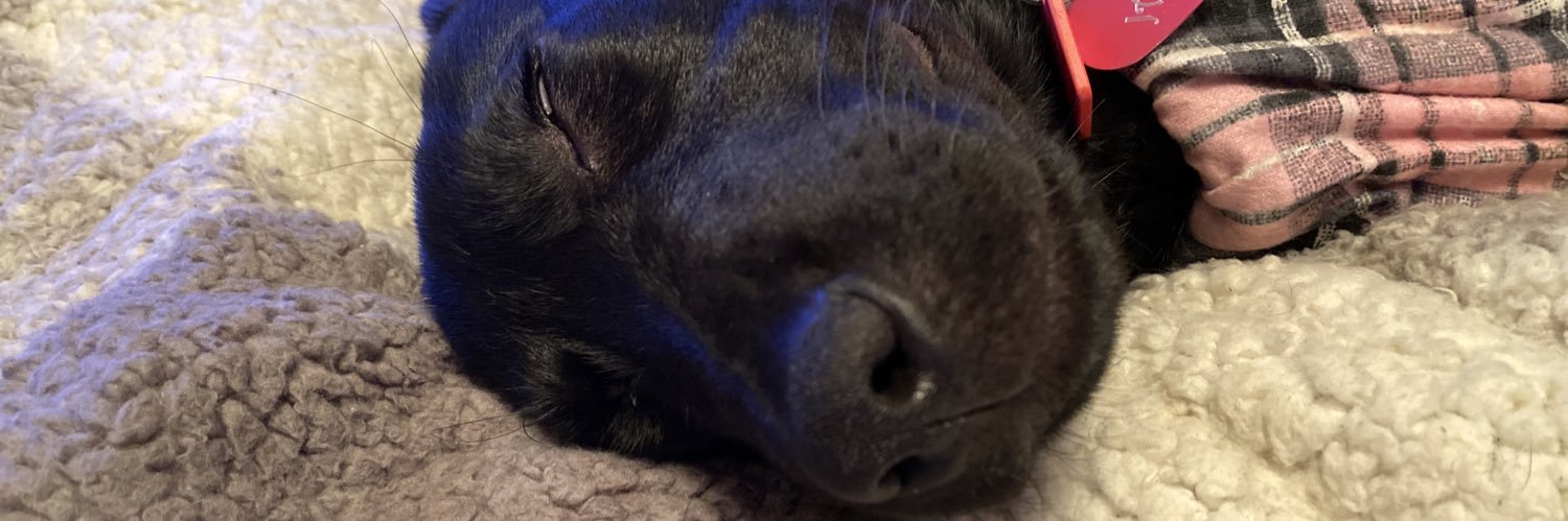 kadetheinsane's profile banner image