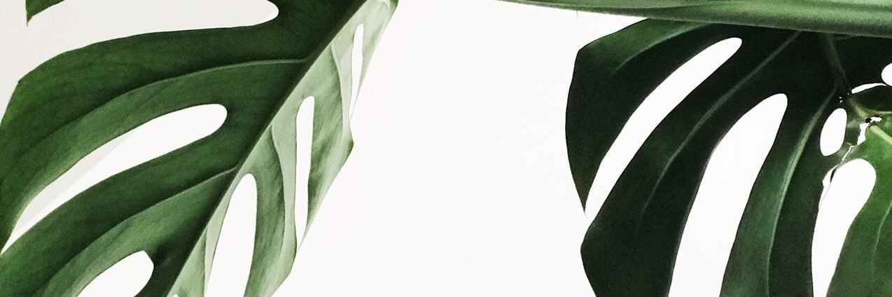 shes_aKnockout's profile banner image