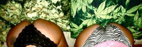 bootynweed's profile banner image