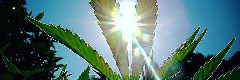 420_Suga's profile banner image