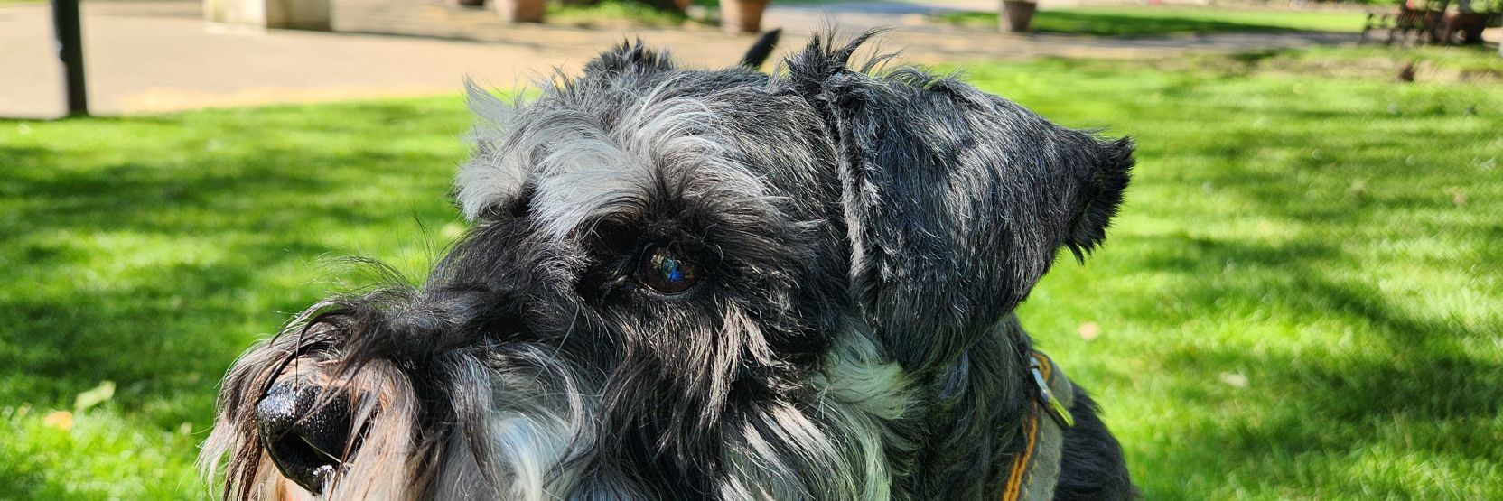 Robert Fenner banner