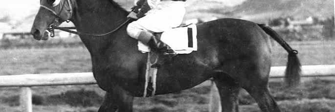 Lazbrookes's profile banner image