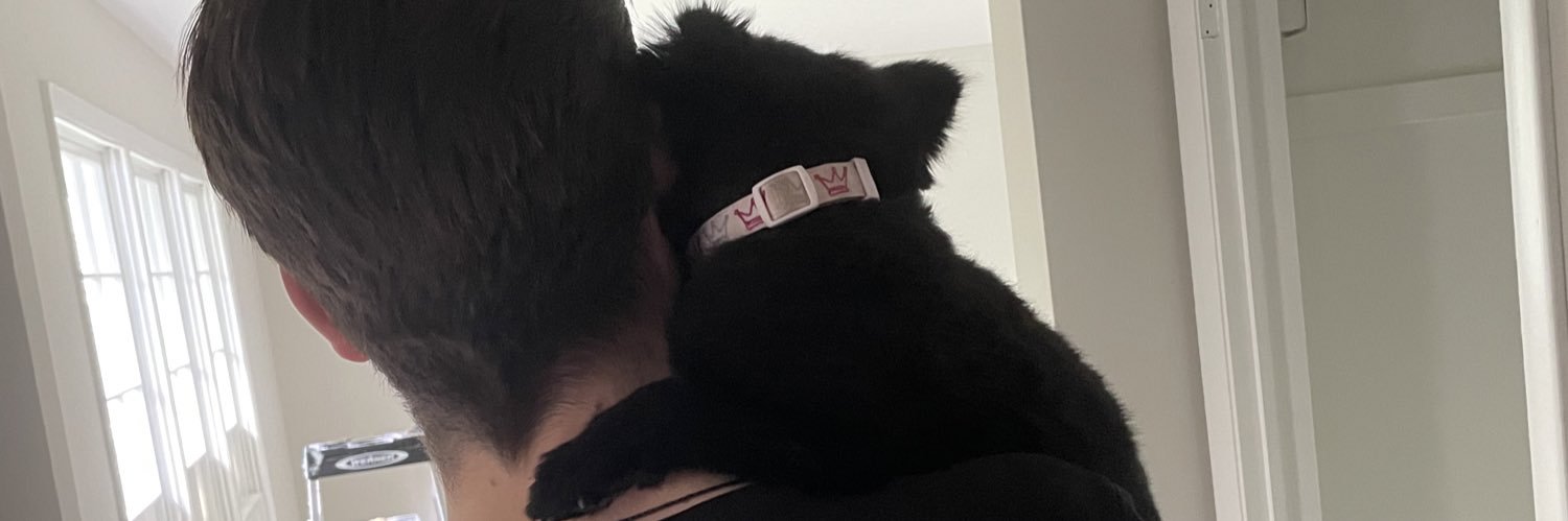 lindsaymuntean's profile banner image