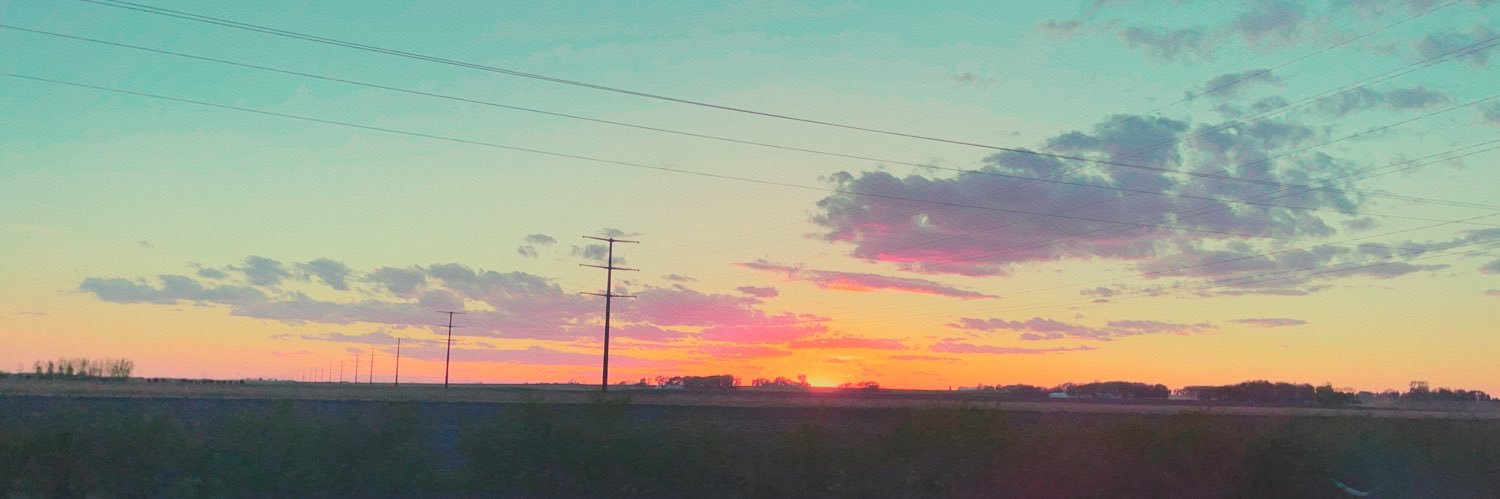 lizzyhag9's profile banner image
