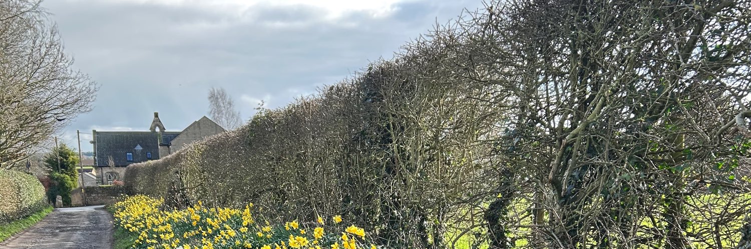 Pontus Fractus 🇬🇧🇮🇱 banner