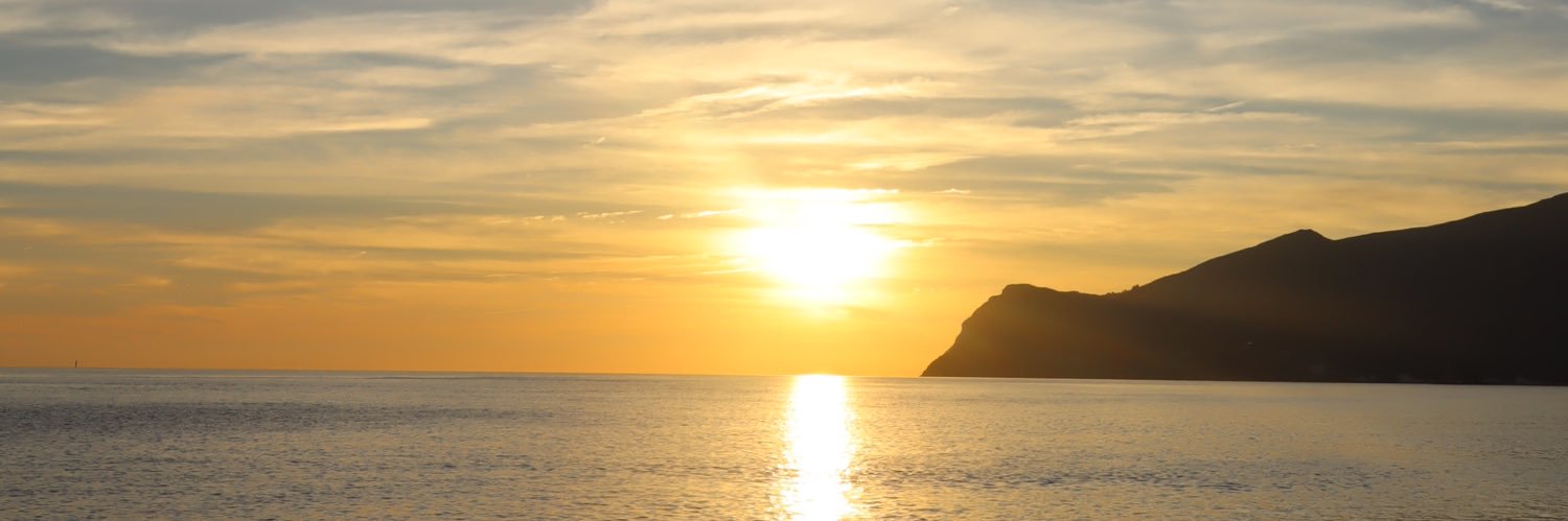 leonor_tomas's profile banner image